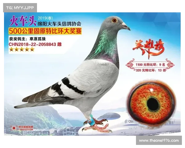2016火车头赛事2019火车头奖杯 2016火车头赛事2019火车头奖杯