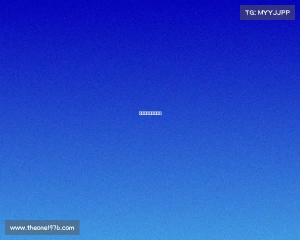 赛事组织管理培训班